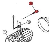 28) Flame viewing bolt